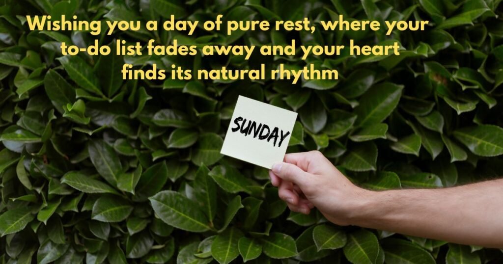 Trending 20 Sunday Blessings Images and Shareable Quotes