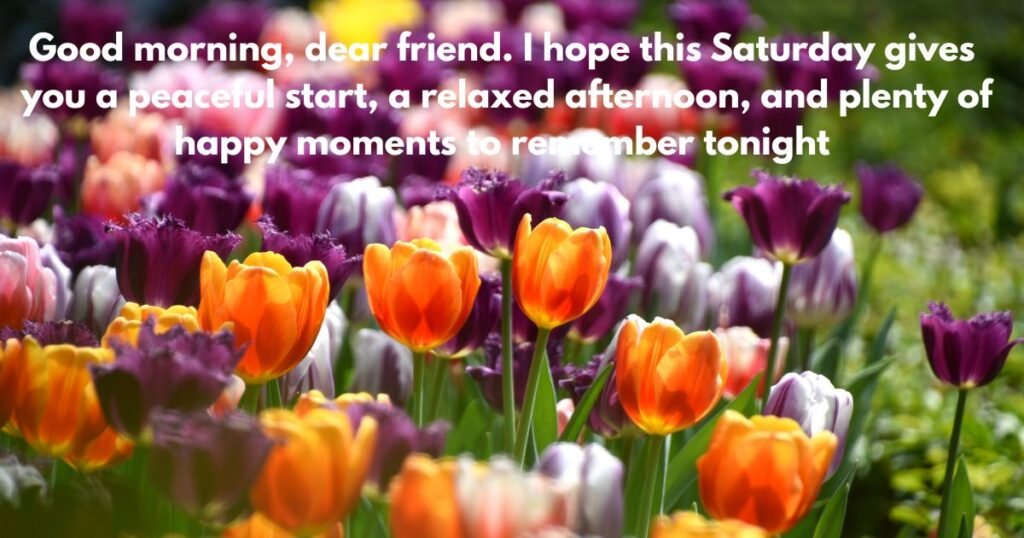 How Can Beautiful Saturday Morning Blessings Make the Morning Brighter?