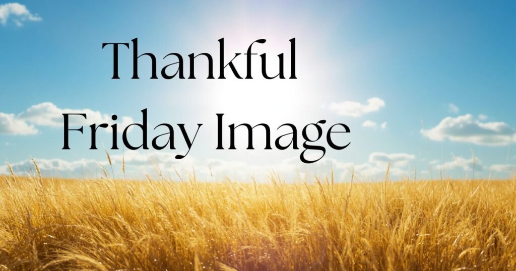 Thankful Friday Image Captions and Reflections